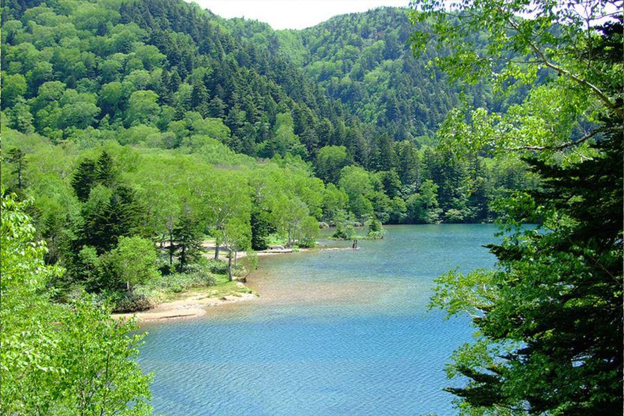 観光に便利な好立地